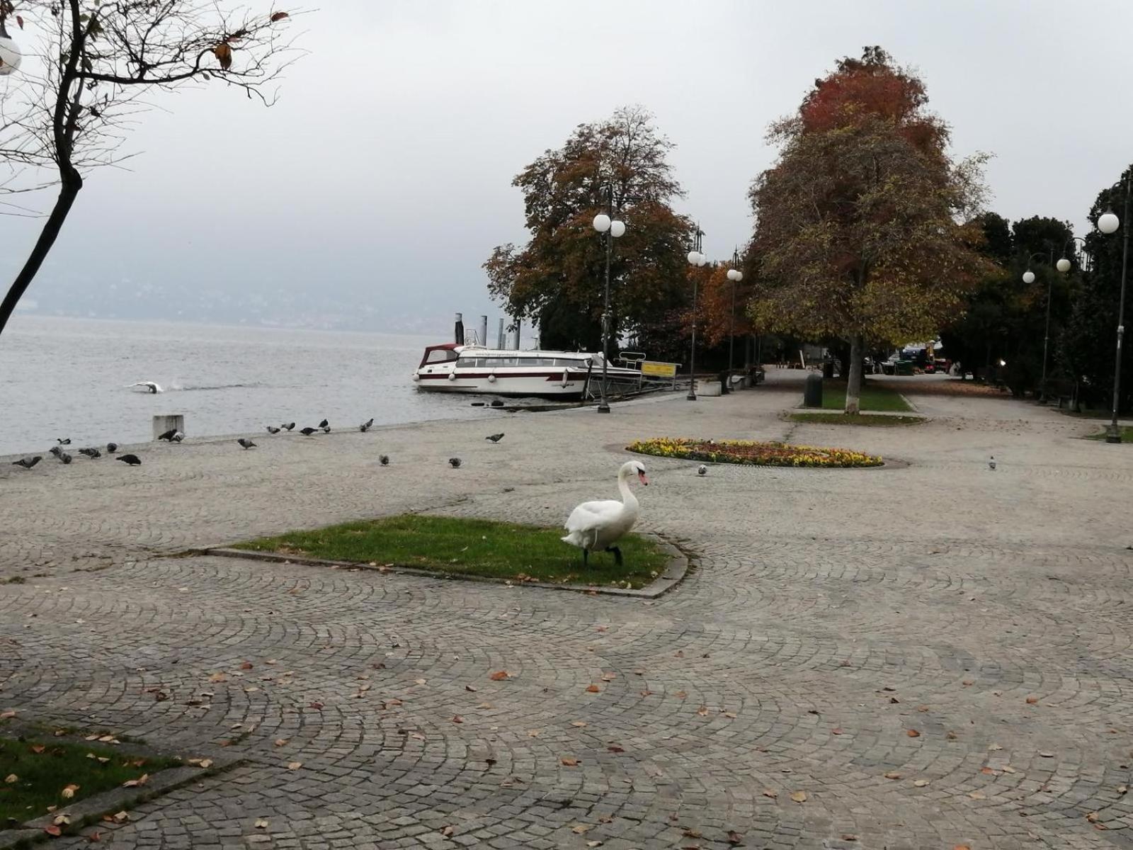 Casa Vacanze La Formica Verbania Luaran gambar